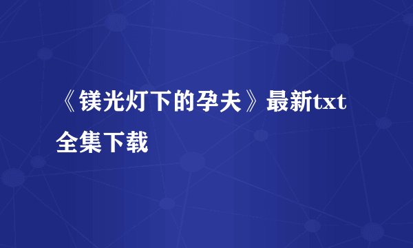 《镁光灯下的孕夫》最新txt全集下载