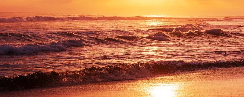 美国尔湾在哪里 美国尔湾属于哪个城市