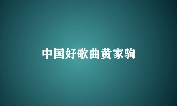 中国好歌曲黄家驹