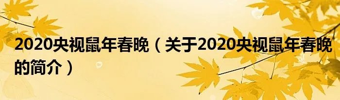 2020央视鼠年春晚（关于2020央视鼠年春晚的简介）