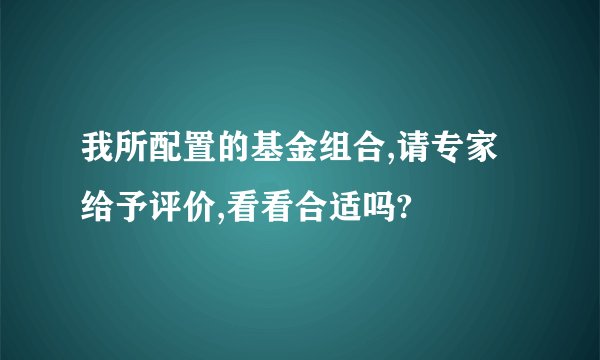 我所配置的基金组合,请专家给予评价,看看合适吗?