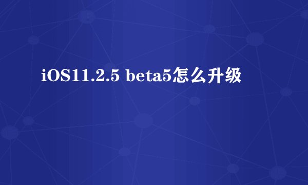 iOS11.2.5 beta5怎么升级