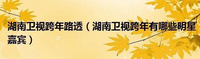 湖南卫视跨年路透（湖南卫视跨年有哪些明星嘉宾）