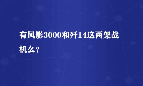 有风影3000和歼14这两架战机么？