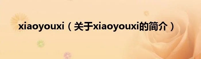xiaoyouxi（关于xiaoyouxi的简介）