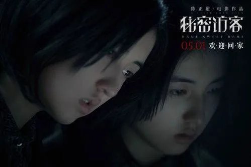 《秘密访客》预售票房破千万，你觉得这部电影的票房能破十亿吗？