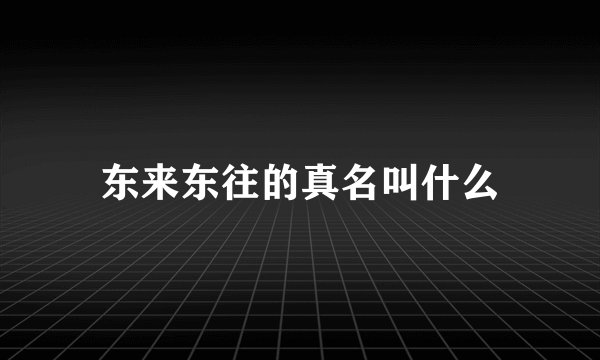 东来东往的真名叫什么