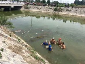 跳河救人被冲走司机遗体找到,此事件的具体情况是什么?