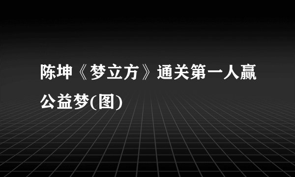 陈坤《梦立方》通关第一人赢公益梦(图)