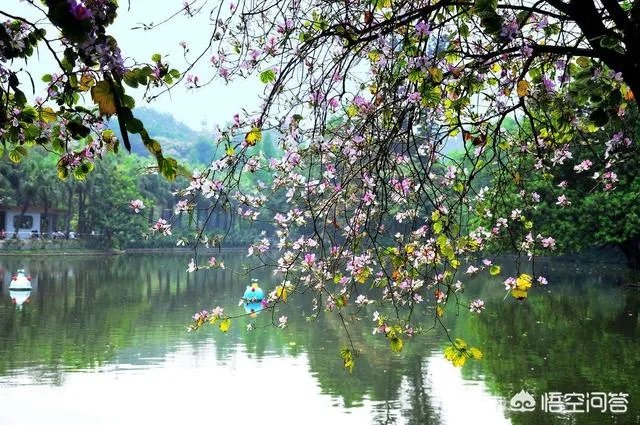 广州越秀公园好玩吗?