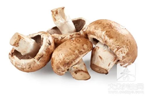 怎样泡发猴头菇