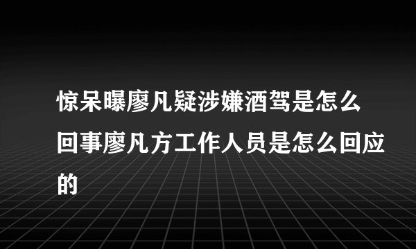 惊呆曝廖凡疑涉嫌酒驾是怎么回事廖凡方工作人员是怎么回应的