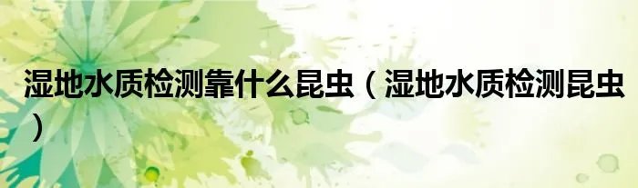 湿地水质检测靠什么昆虫（湿地水质检测昆虫）