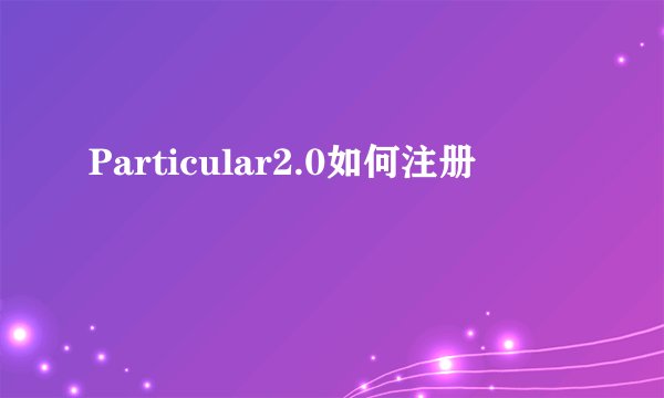 Particular2.0如何注册