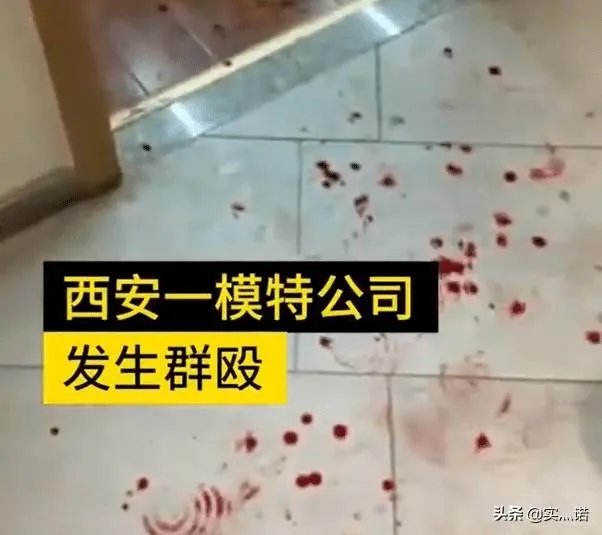 陕西模特公司群殴事件有哪些值得深思的信息？