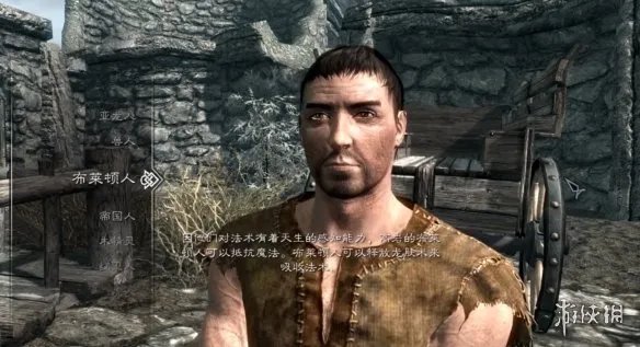 《上古卷轴5》种族选择推荐