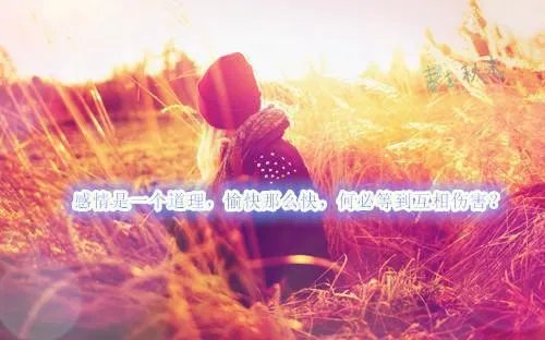 孟初夏盛寒深小说 孟初夏盛寒深免费阅读