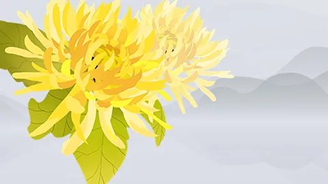 冬虫夏草花的功效与作用