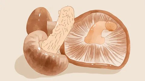 吃什么治打呼噜