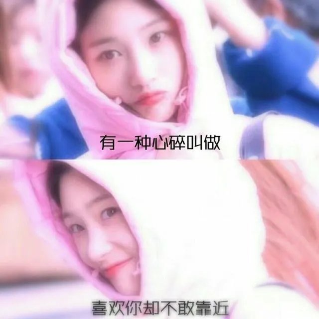 你有哪些喜欢的句子想要分享吗?