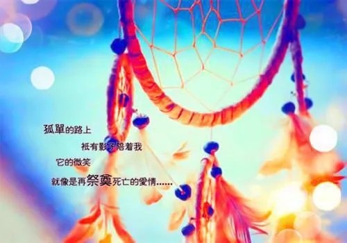 言欢贺景深小说 言欢贺景深免费阅读