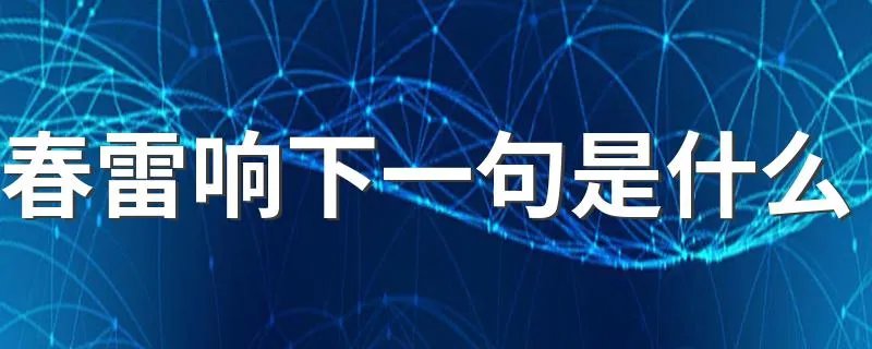 春雷响下一句是什么 这句诗是什么意思呢？
