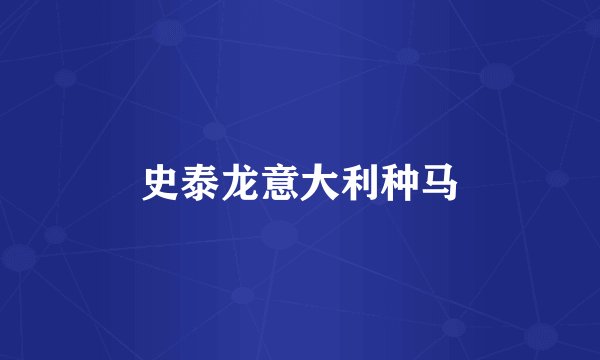 史泰龙意大利种马