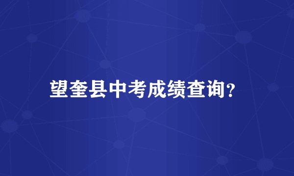 望奎县中考成绩查询？