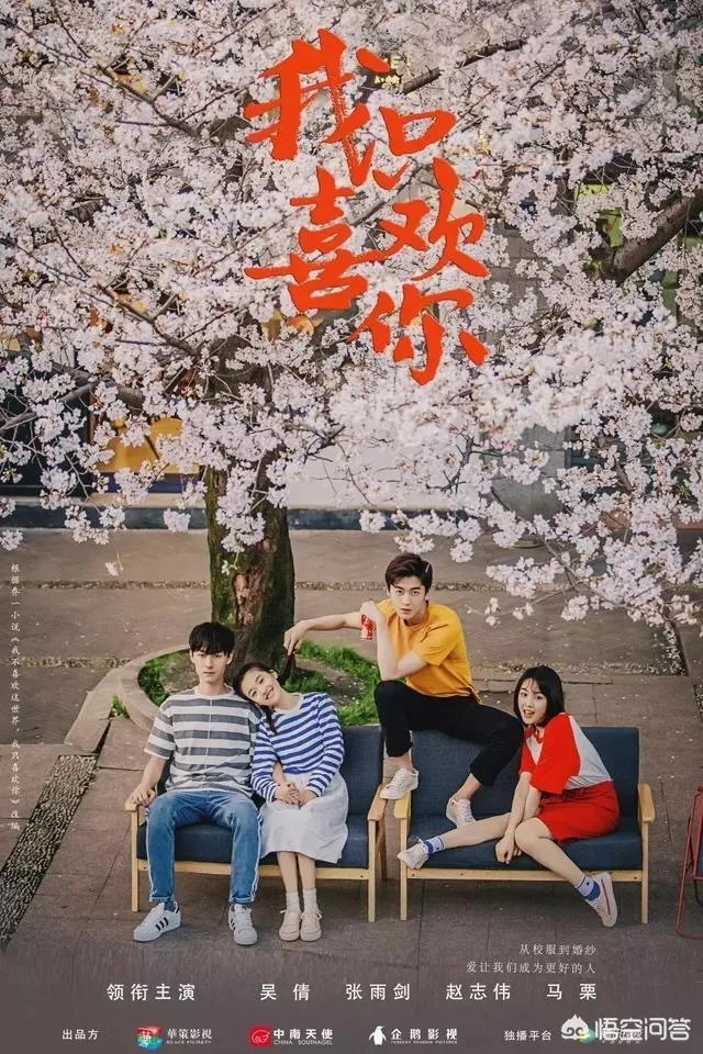 如何评价《我只喜欢你》？