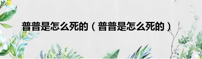 普普是怎么死的（普普是怎么死的）