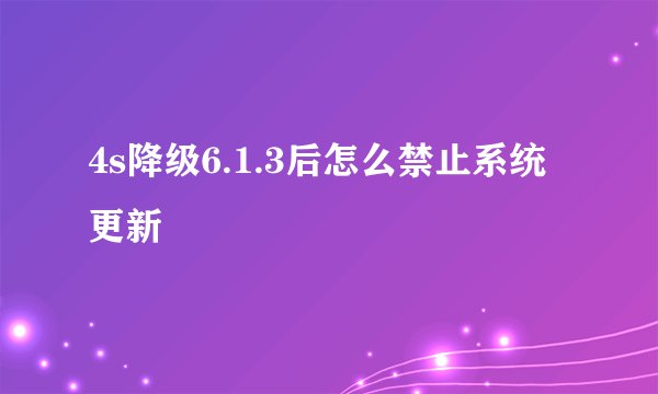4s降级6.1.3后怎么禁止系统更新