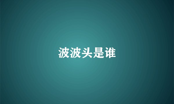 波波头是谁