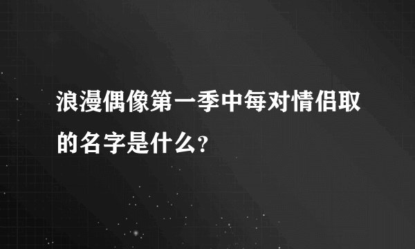 浪漫偶像第一季中每对情侣取的名字是什么？