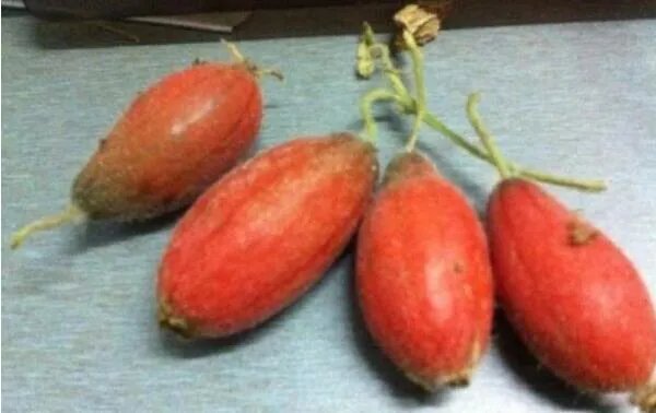 改刀肉是什么地方的菜,东北菜(一道非常重视刀工的菜)