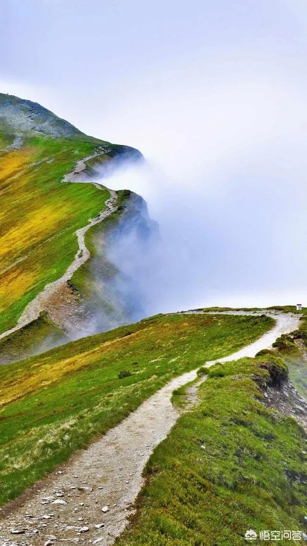 手机可以看的无广告视频网站