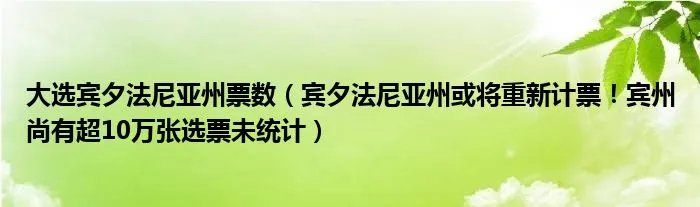 大选宾夕法尼亚州票数（宾夕法尼亚州或将重新计票！宾州尚有超10万张选票未统计）