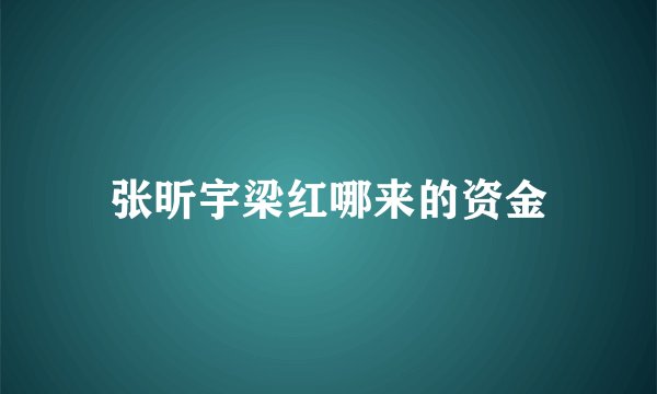 张昕宇梁红哪来的资金