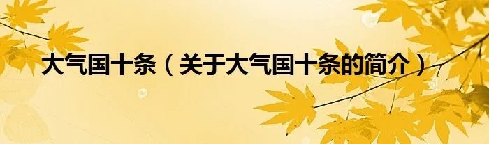大气国十条（关于大气国十条的简介）