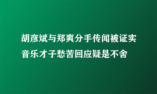 胡彦斌与郑爽分手传闻被证实音乐才子愁苦回应疑是不舍
