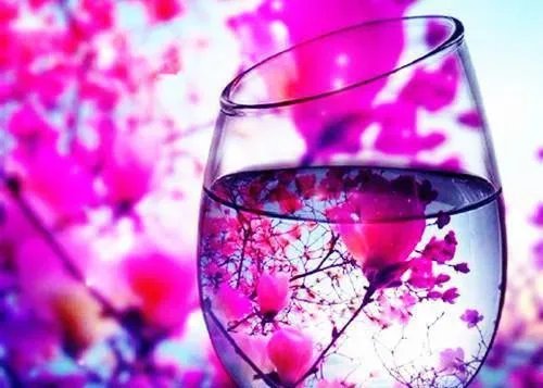 杨雪儿老张《禁忌秘爱》小说_杨雪儿老张(完整)章节目录阅读