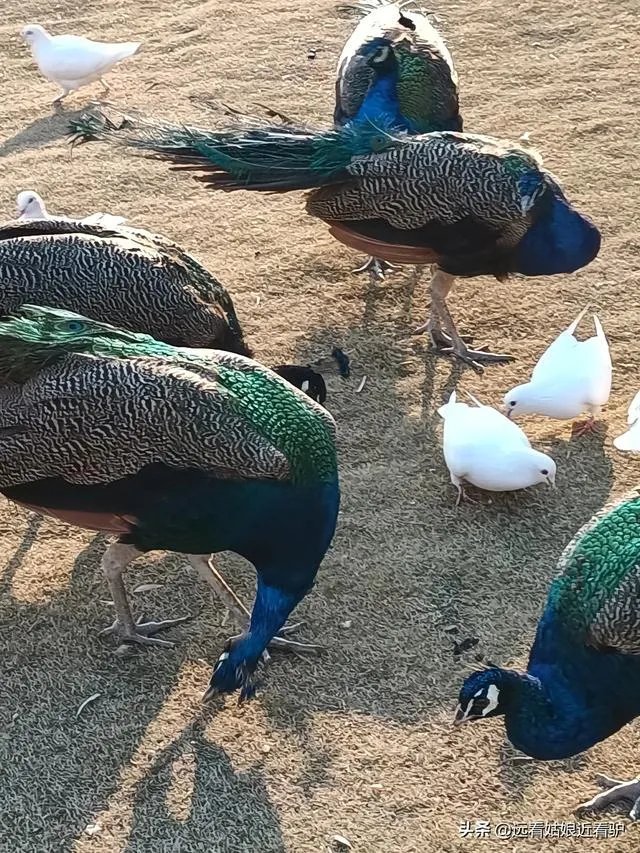 合肥瑶海区二手房现在值得买吗?