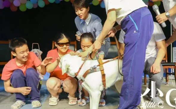 如何评价电影《小Q》？