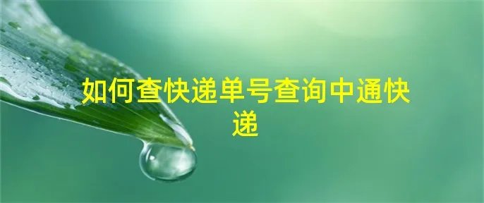 如何查快递单号查询中通快递