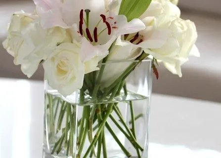 爱宝氏清益儿童益生菌