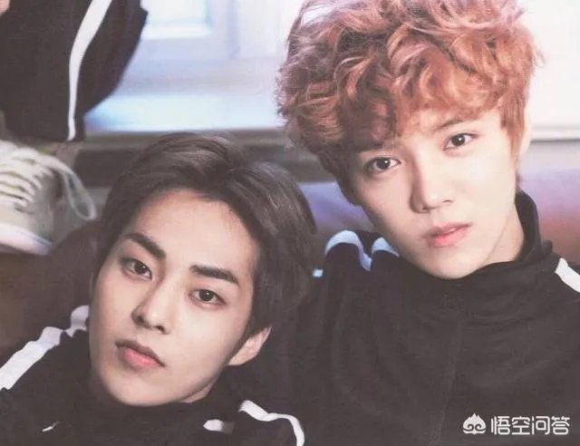 如何看待鹿晗点赞xiumin入伍？