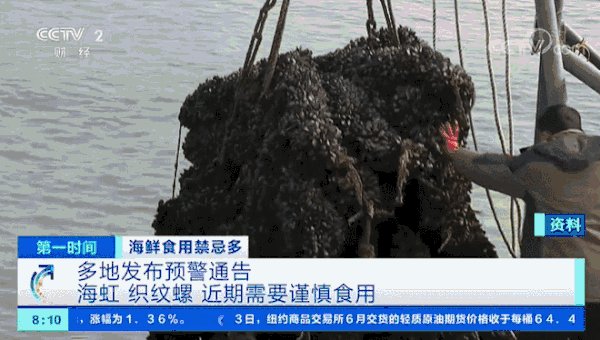 这两种小海鲜近期千万别吃！已有多起中毒事件