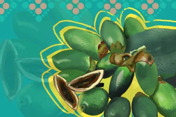 嚼槟榔脸变大怎么恢复正常