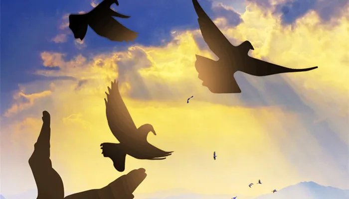 诺贝尔奖至今没有设立哪个