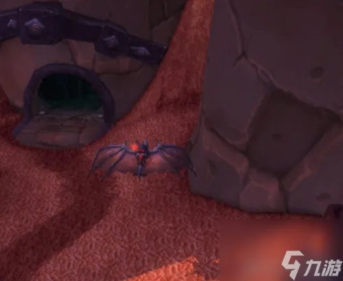 星木在哪买 星木沙塔斯在哪里买