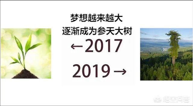 2017到2019什么梗?你怎么看?